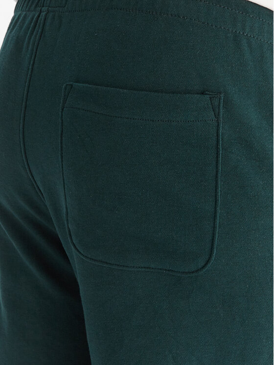 DC Shoes DC Shoes Долнище анцуг ADYFB03072 GTP0 Зелен Regular Fit