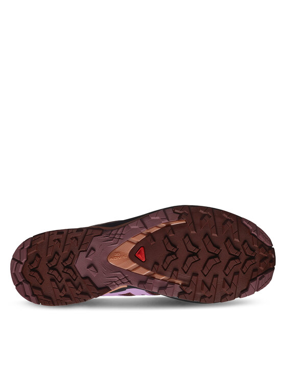 Salomon Salomon Παπούτσια για Τρέξιμο Xa Pro 3D V9 L47589300 Μπορντό