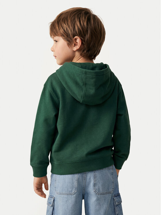 Quiksilver Quiksilver Džemperis Graphics EQKFT03406 Žalia Regular Fit