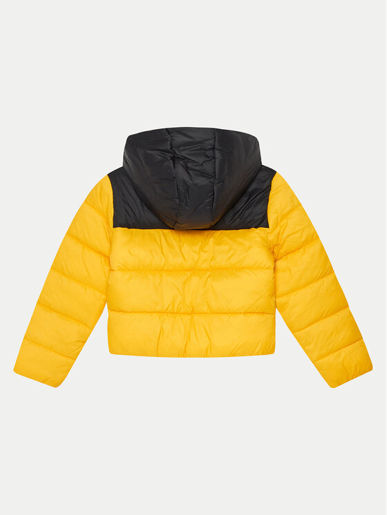 4F 4F Зимно яке 4FJWAW24TDJAM462 Жълт Regular Fit