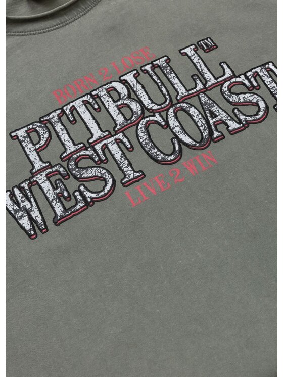 PITBULL PITBULL T-Shirt ACE OF SPADES Zielony Regular Fit