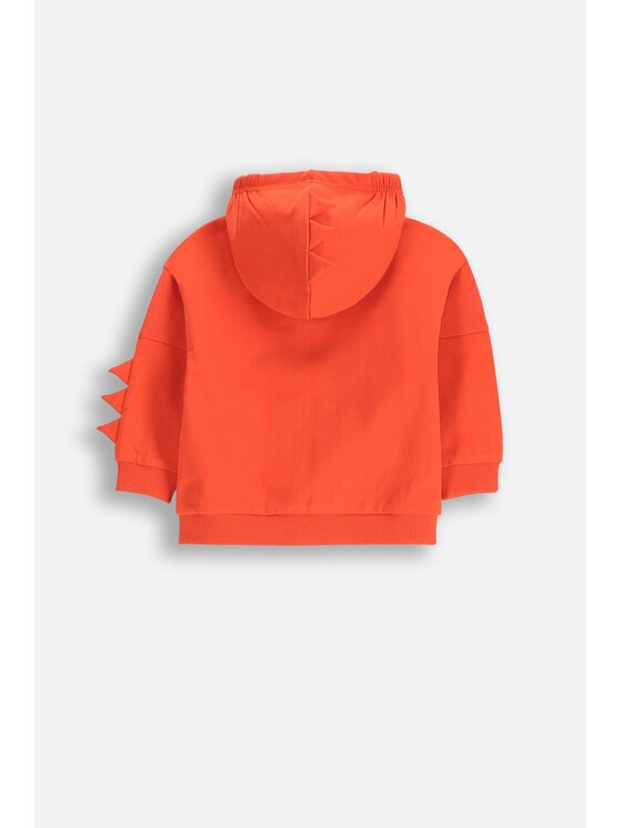 Coccodrillo Coccodrillo Mikina WC5132401DBN-009 Červená Regular Fit
