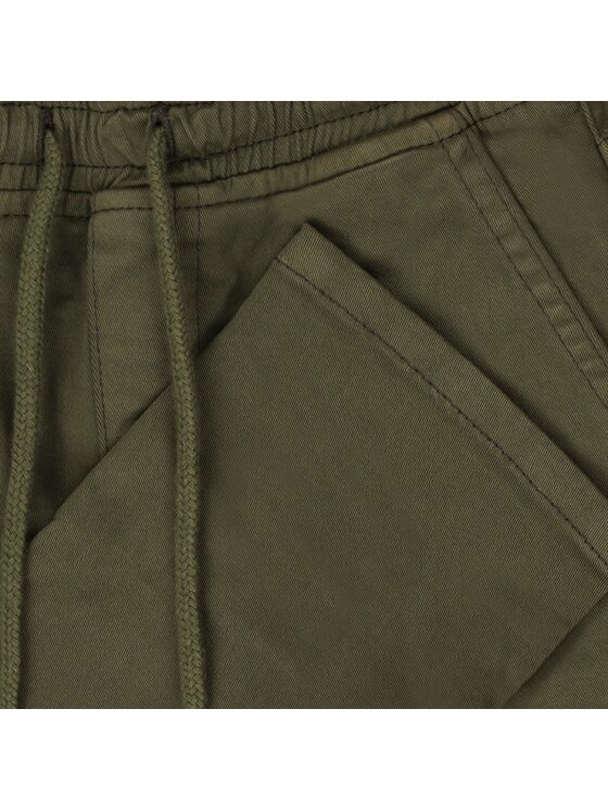 Tumble 'N Dry Tumble 'N Dry Spodnie materiałowe 84/35700/21522/6192 Zielony Regular Fit
