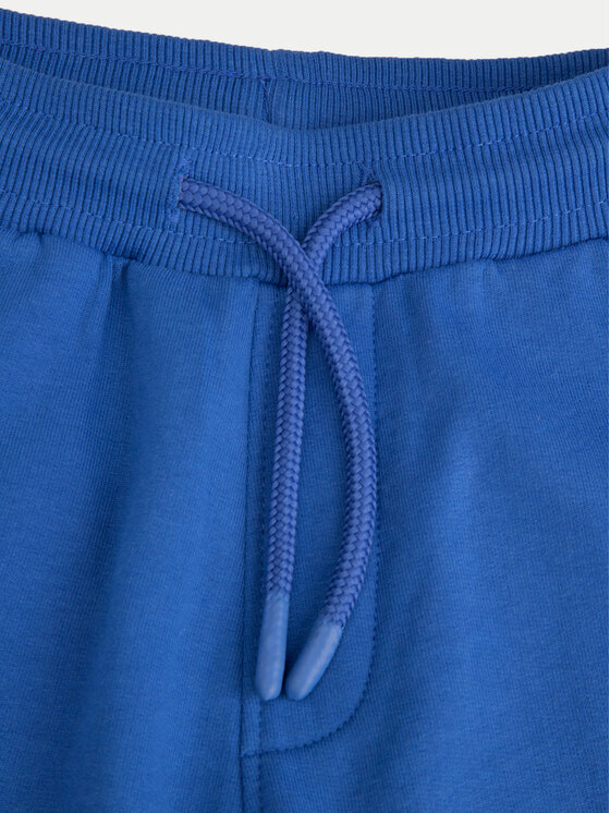 Coccodrillo Coccodrillo Sportinės kelnės ZC4120201DBK Mėlyna Slim Fit