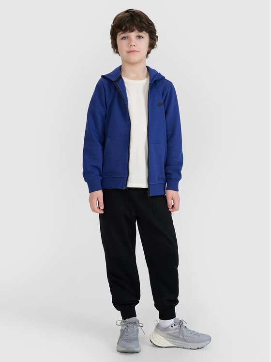 4F 4F Bluza 4FJWSS25TSWSM1714-36S Niebieski Regular Fit