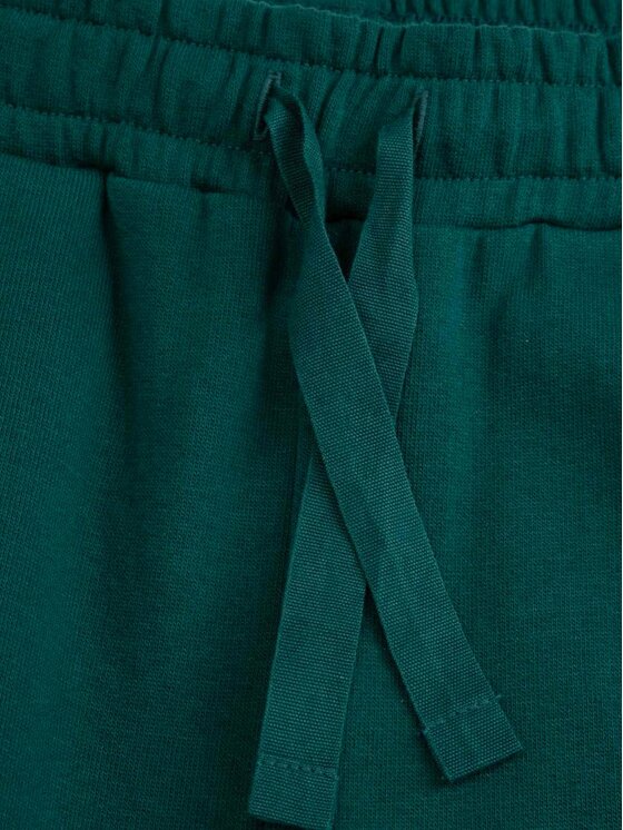 Coccodrillo Coccodrillo Donji dio trenerke ZC4120101SGJ Zelena Regular Fit