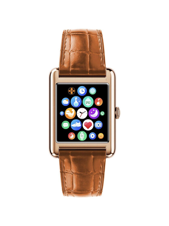 Ice-Watch Ice-Watch Hodinky 4895173346675 Hnědá