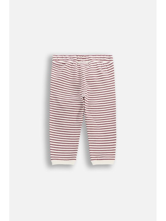 Coccodrillo Coccodrillo Szorty materiałowe WC6121101SUN-017 Bordowy Regular Fit