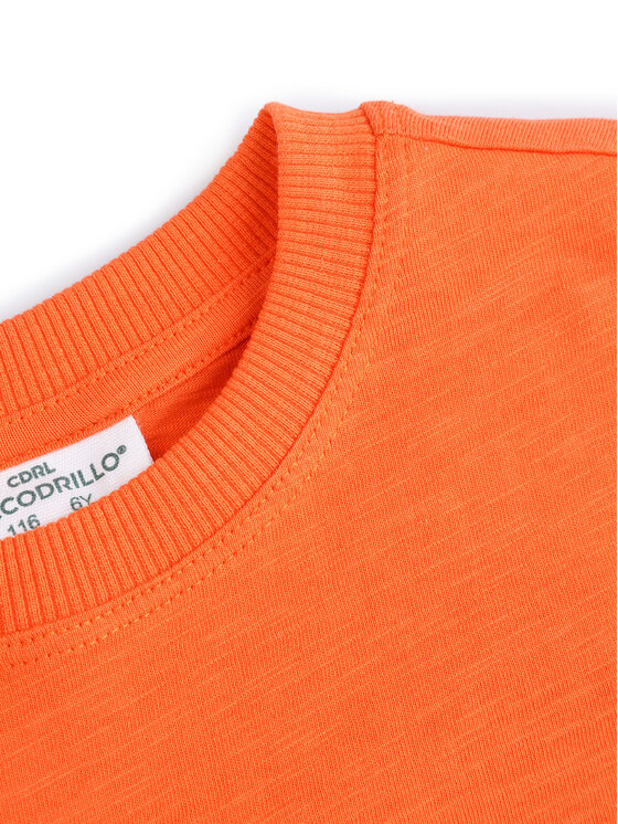 Coccodrillo Coccodrillo Marškinėliai WC5143202HBK Oranžinė Regular Fit