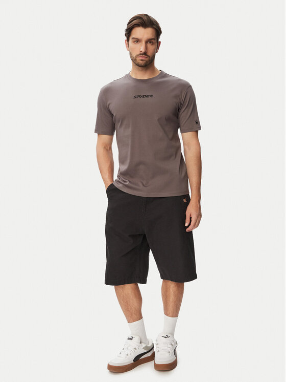 Spyder Spyder T-Shirt W126-SPMTS-1009-42X Szary Regular Fit