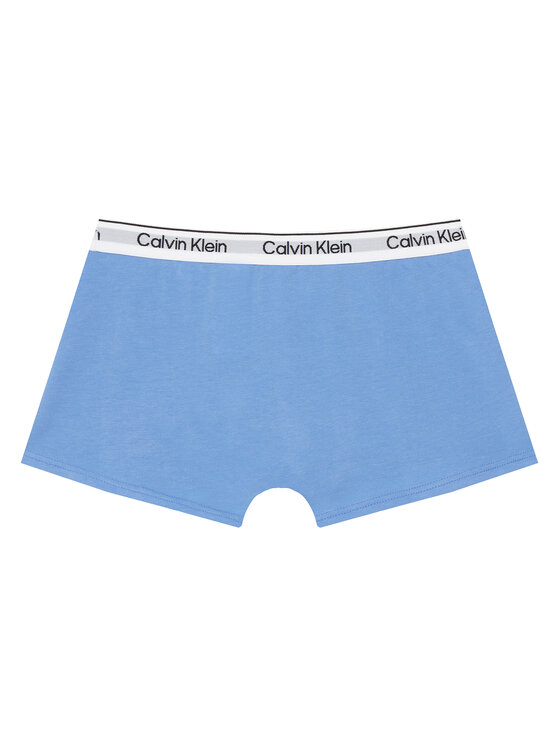 Calvin Klein Underwear Calvin Klein Underwear Set bokserica﻿ B70B700506 Šarena