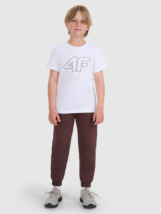 4F 4F T-Shirt BASIC+ Biały Regular Fit