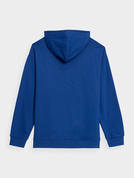 Outhorn Outhorn Sweatshirt OTHAW23TSWSM679 Blau Regular Fit