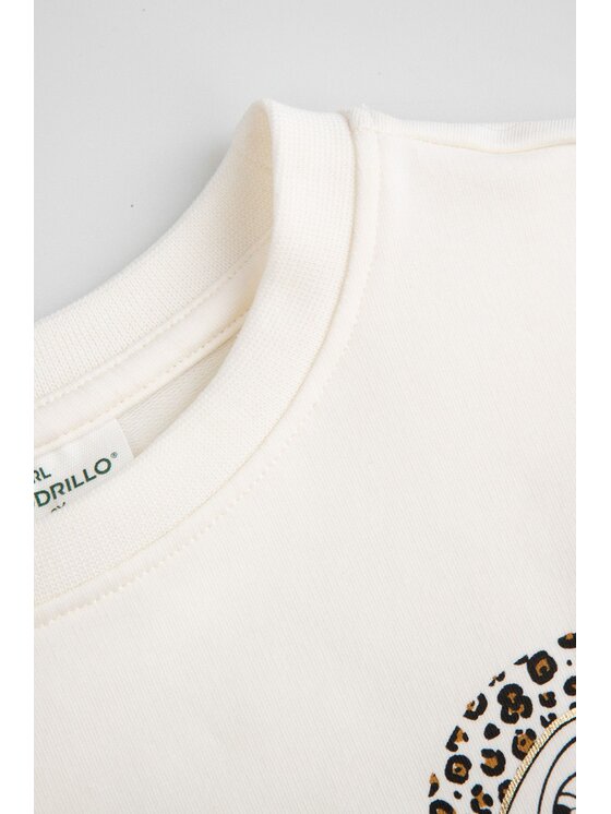Coccodrillo Coccodrillo Mikina ZC5132102LGD-003 Écru Regular Fit