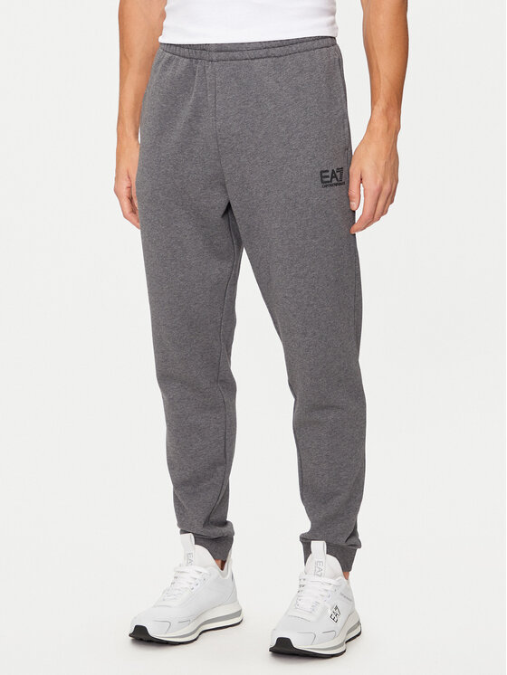 EA7 Emporio Armani EA7 Emporio Armani Спортивний костюм 6DPV64 PJVTZ 3925 Сірий Regular Fit