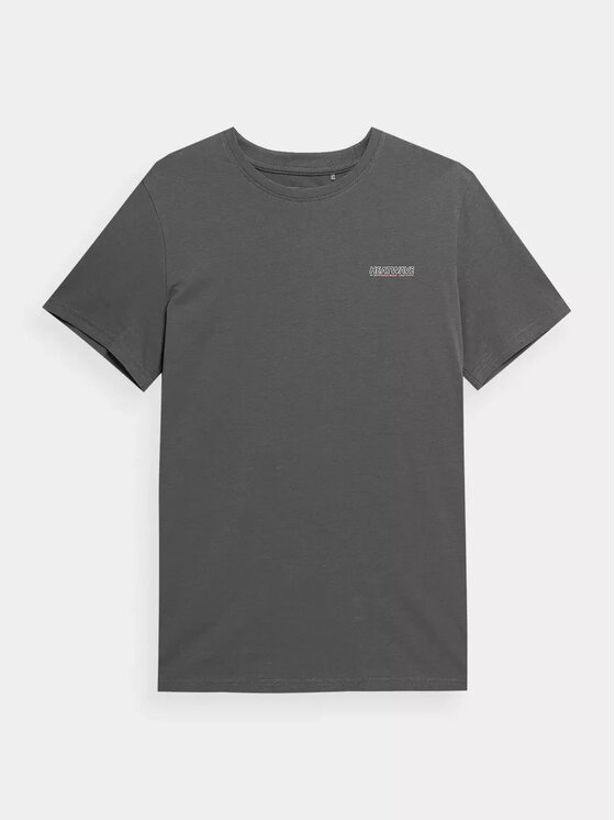 4F 4F T-Shirt 4FSS23TTSHM355-22S Szary Regular Fit