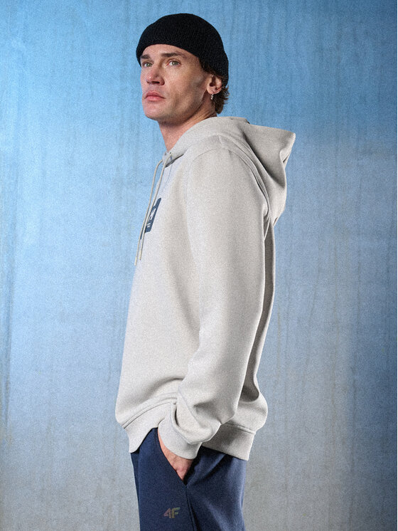4F 4F Bluza IN MOTION Szary jasny Regular Fit