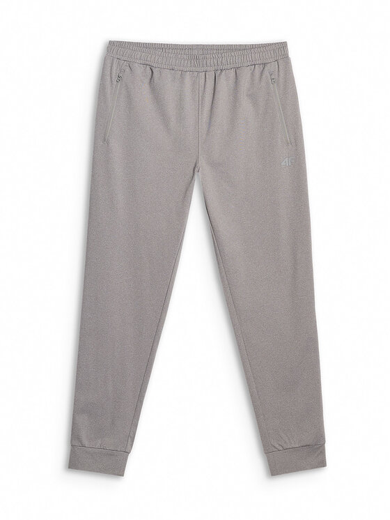 4F 4F Spodnie dresowe MULTI ACTIVE Szary Regular Fit
