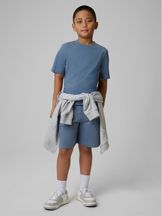 4F 4F Szorty sportowe BASIC+ Regular Fit