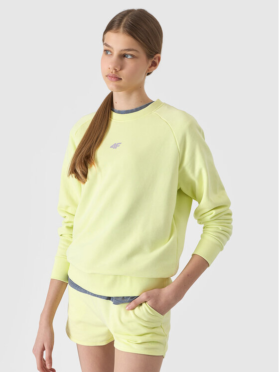 4F 4F Mikina 4FJWSS24TSWSF0920-72S Zelená Regular Fit