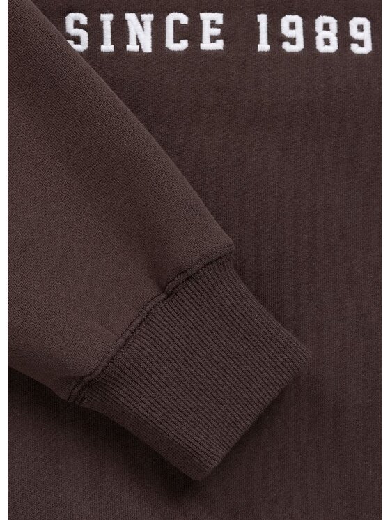 PITBULL PITBULL Bluza NORTON Brązowy Regular Fit