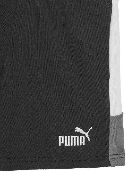 Puma Puma Sportske kratke hlače Ess 685821 Crna Regular Fit