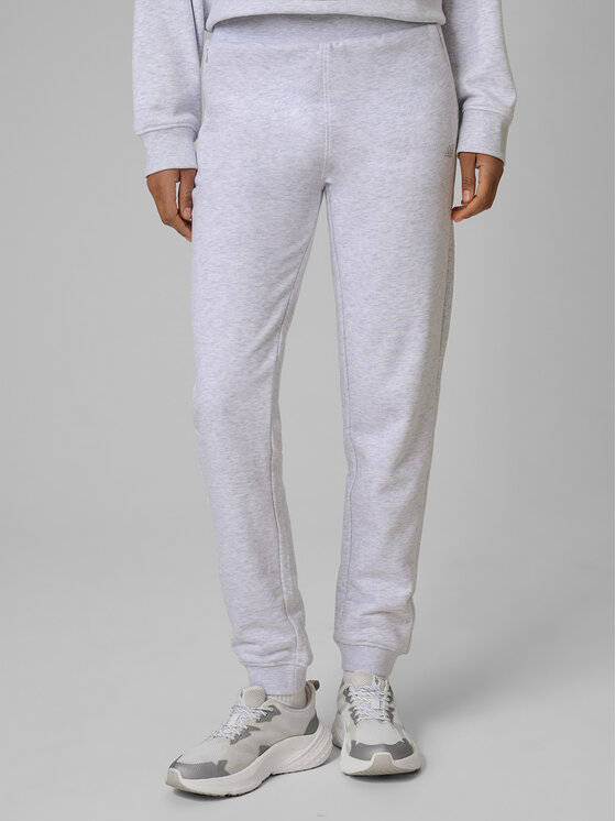 4F 4F Spodnie dresowe NOS Szary jasny Regular Fit