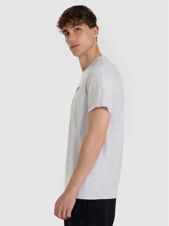 4F 4F T-Shirt 4FWMM00TTSHM2257-27M Szary Regular Fit