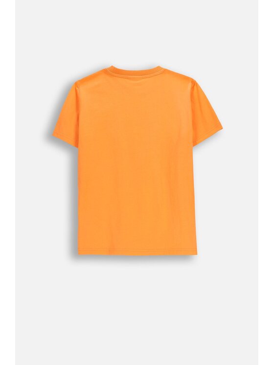 Coccodrillo Coccodrillo T-Shirt WC6143203RBJ-006 Pomarańczowy Regular Fit