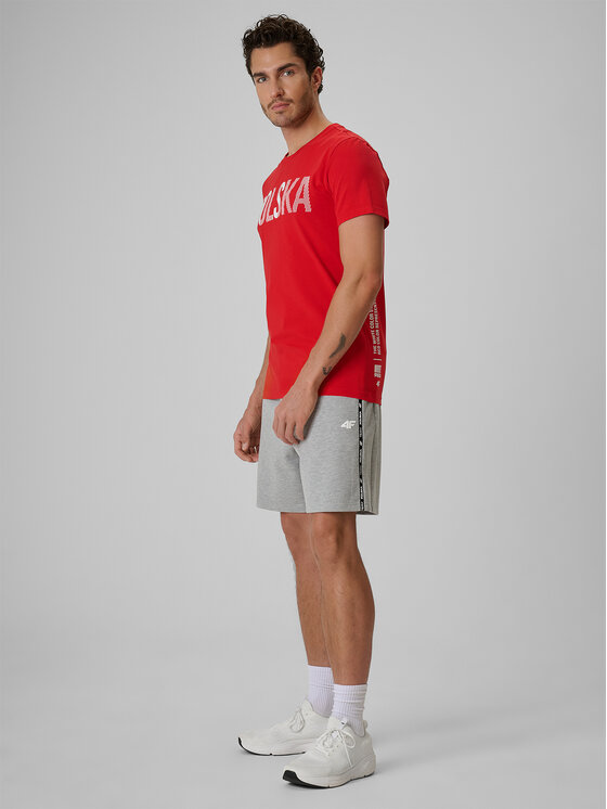 4F 4F Szorty sportowe STREFA KIBICA Szary jasny Regular Fit