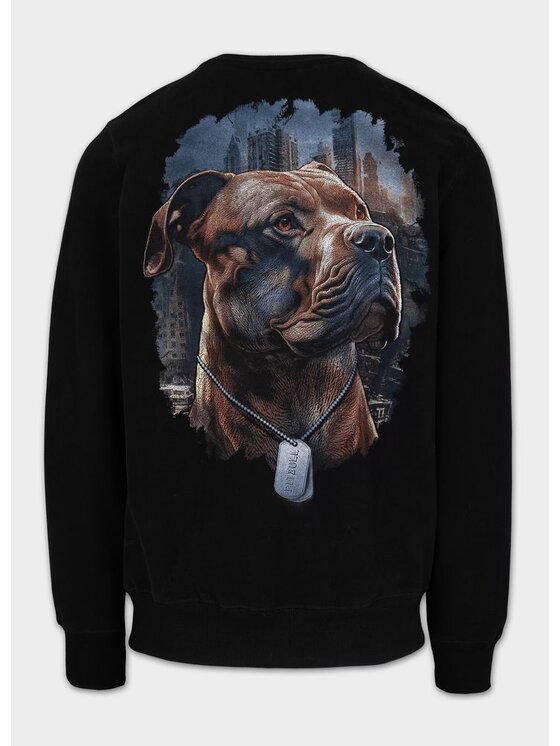 PITBULL PITBULL Bluza HERO Czarny Regular Fit