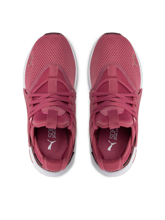 Puma Puma Buty do biegania Softride Enzo Evo 377048 05 Różowy