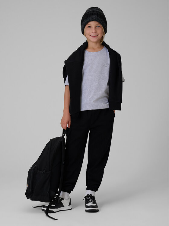 4F 4F T-Shirt BASIC+ Szary Regular Fit