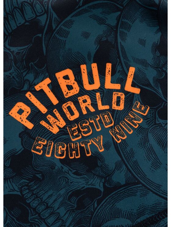 PITBULL PITBULL Szorty sportowe GUARDIAN ANGEL Czarny Regular Fit