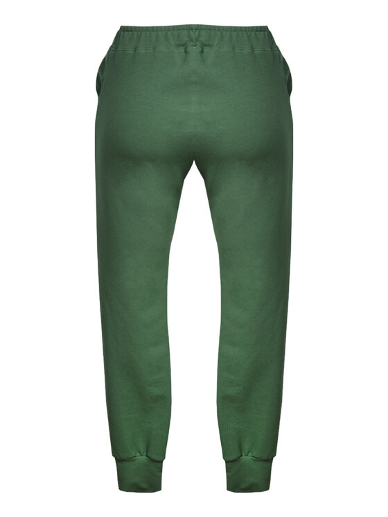 DKaren Sport DKaren Sport Spodnie dresowe Seattle Zielony Classic Fit