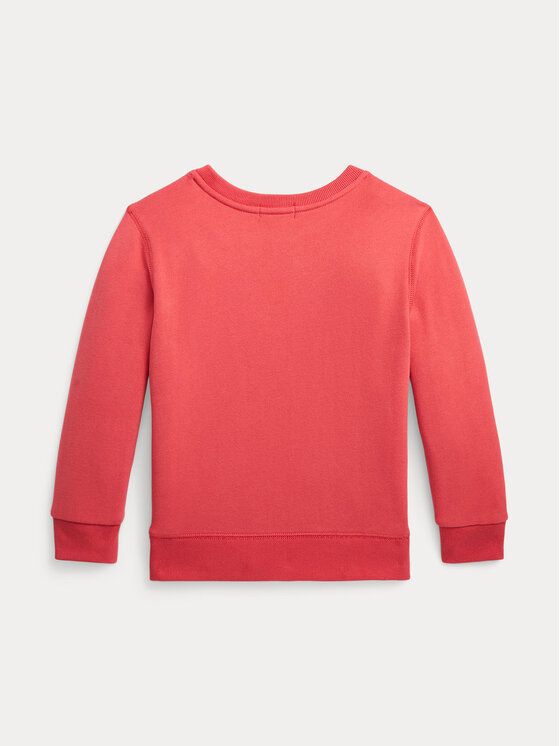 Polo Ralph Lauren Polo Ralph Lauren Džemperis 322920254001 Raudona Regular Fit