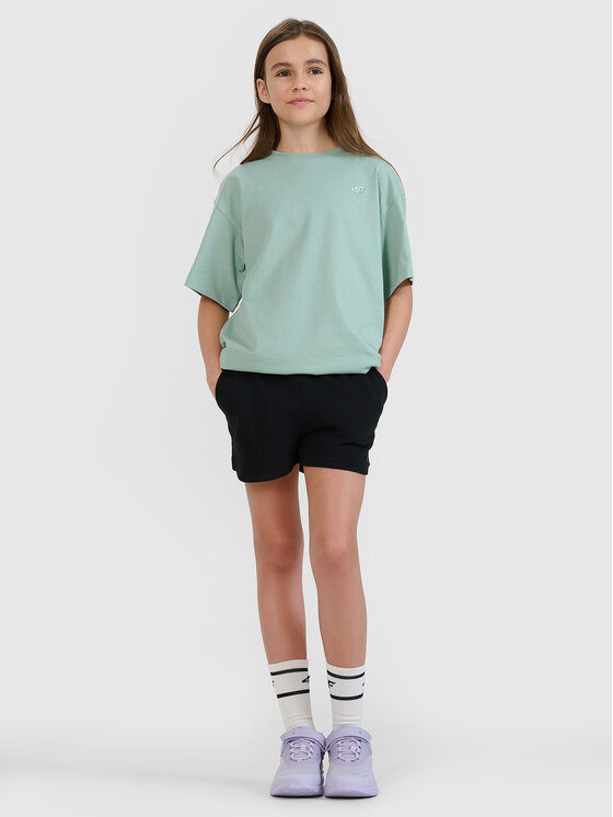 4F 4F Szorty sportowe BASIC+ Czarny Regular Fit