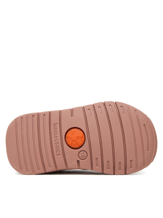 Biomecanics Biomecanics Tossud 251109 Roosa