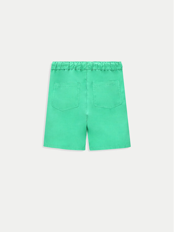 Coccodrillo Coccodrillo Szorty sportowe WC4119502DWK Zielony Regular Fit