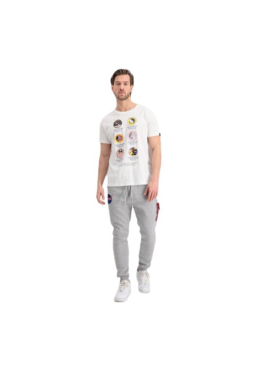 Alpha Industries Alpha Industries Jogger nohavice AI.118369-17-L Sivá Jogger Fit