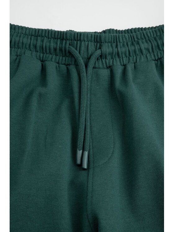 Coccodrillo Coccodrillo Teplákové kalhoty ZC6120102VBA-011 Zelená Regular Fit