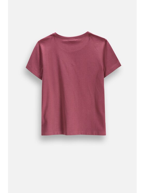 Coccodrillo Coccodrillo T-Shirt ZC6143216VGA-017 Bordowy Regular Fit