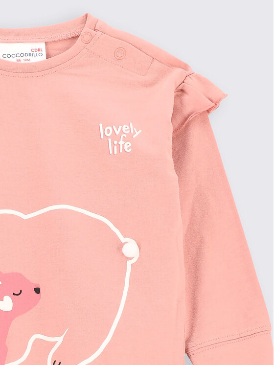 Coccodrillo Coccodrillo Sweatshirt ZC2143101WIN Rosa Regular Fit