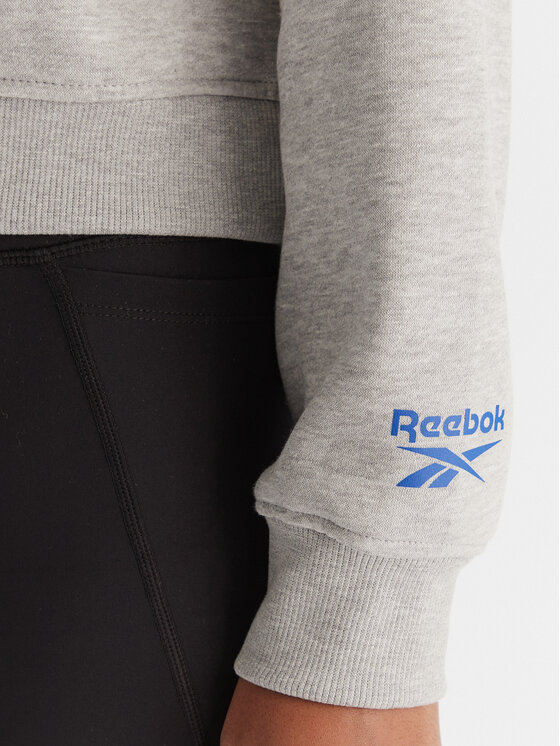 Reebok Reebok Džemperis ar kapuci Jazz RK25170CCW Pelēks Regular Fit