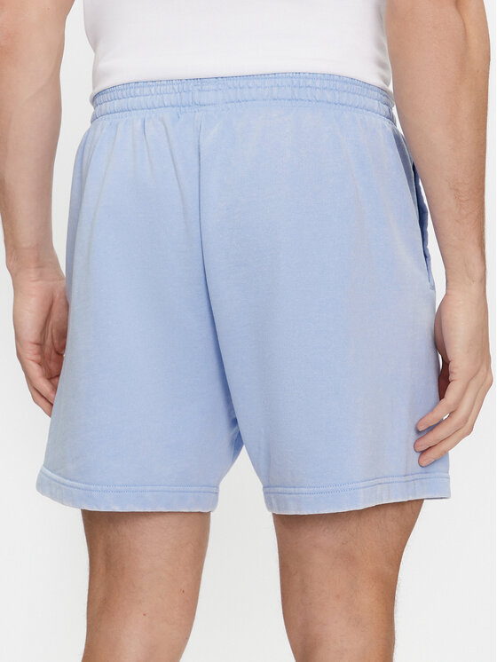 Tommy Jeans Tommy Jeans Szorty sportowe Tjm Arch Graphic Beach Short Ext DM0DM19167 Niebieski Regular Fit