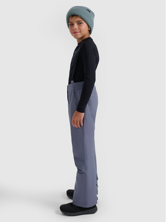 4F 4F Spodnie narciarskie BASIC SKI Szary Regular Fit