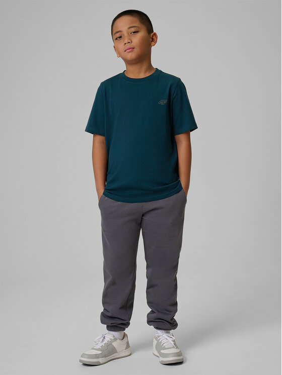 4F 4F T-Shirt BASIC+ Kolorowy Regular Fit