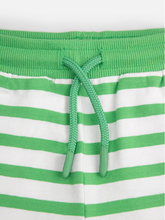 Coccodrillo Coccodrillo Szorty sportowe WC4121501UWN Zielony Regular Fit