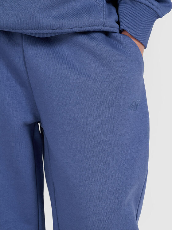 4F 4F Spodnie dresowe BASIC+ Niebieski Regular Fit