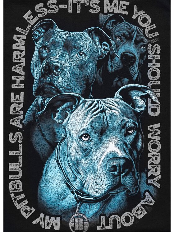 PITBULL PITBULL T-Shirt PROTECTOR Czarny Regular Fit